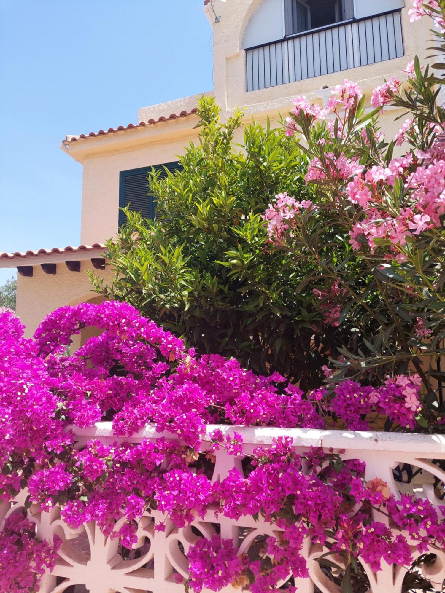 Haus Am Meer Torrevieja Zewnętrze zdjęcie